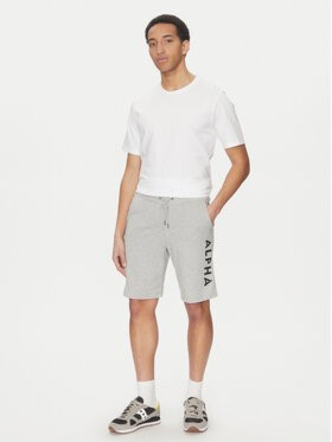 Alpha Industries Szorty sportowe 116366 Szary Regular Fit