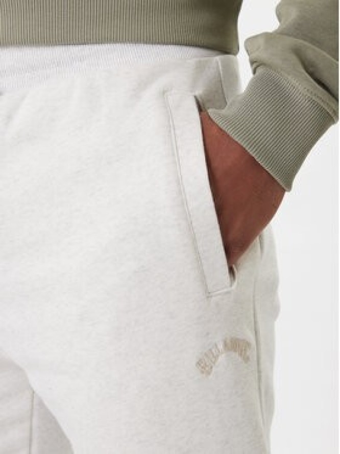 Billabong Spodnie dresowe EBYNP00112 Szary Regular Fit