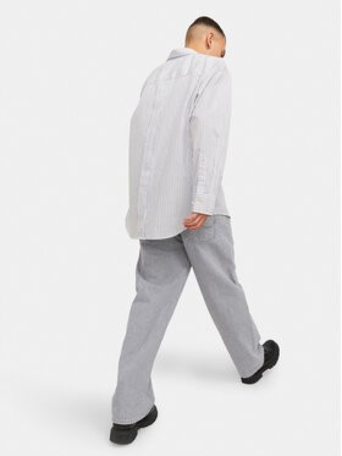 Jack & Jones Jeansy Alex 12249060 Szary Baggy Fit