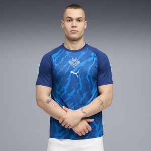Męska koszulka na rozgrzewkę Islandii PUMA
