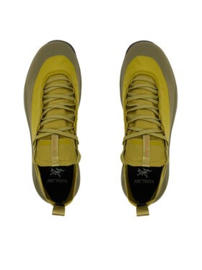 Arc'teryx Trekkingi Verte Alpine Gtx Gore-Tex X000009602 Zielony