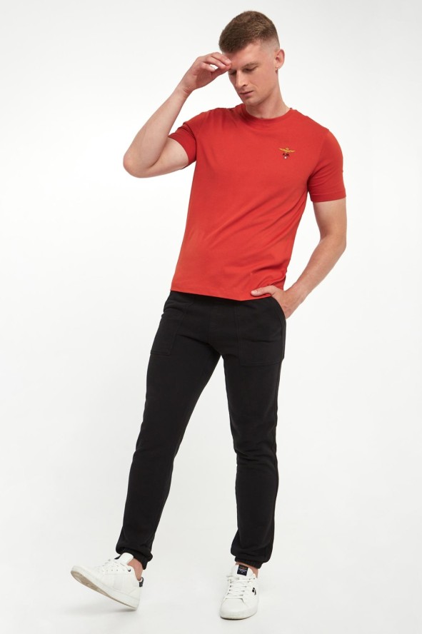 T-shirt męski z logo AERONAUTICA MILITARE