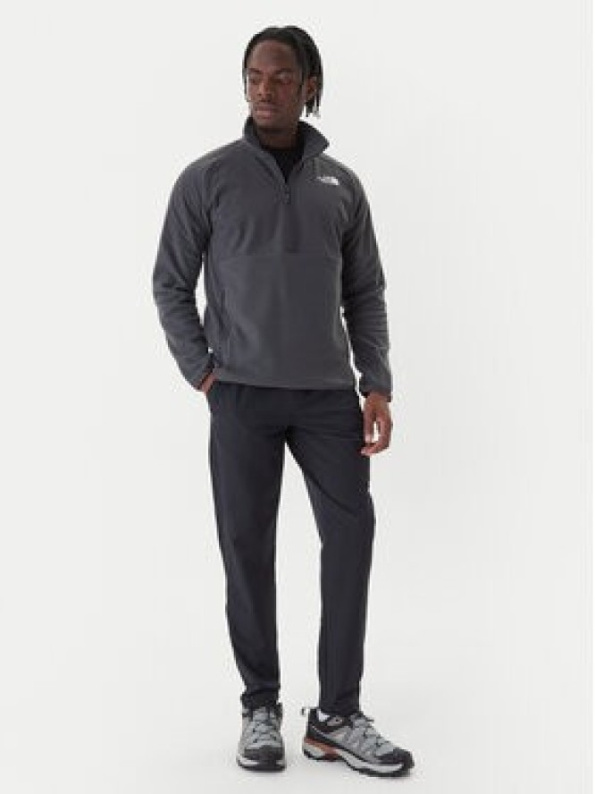 The North Face Polar 1/2 Glacier NF0A89JH Szary Regular Fit