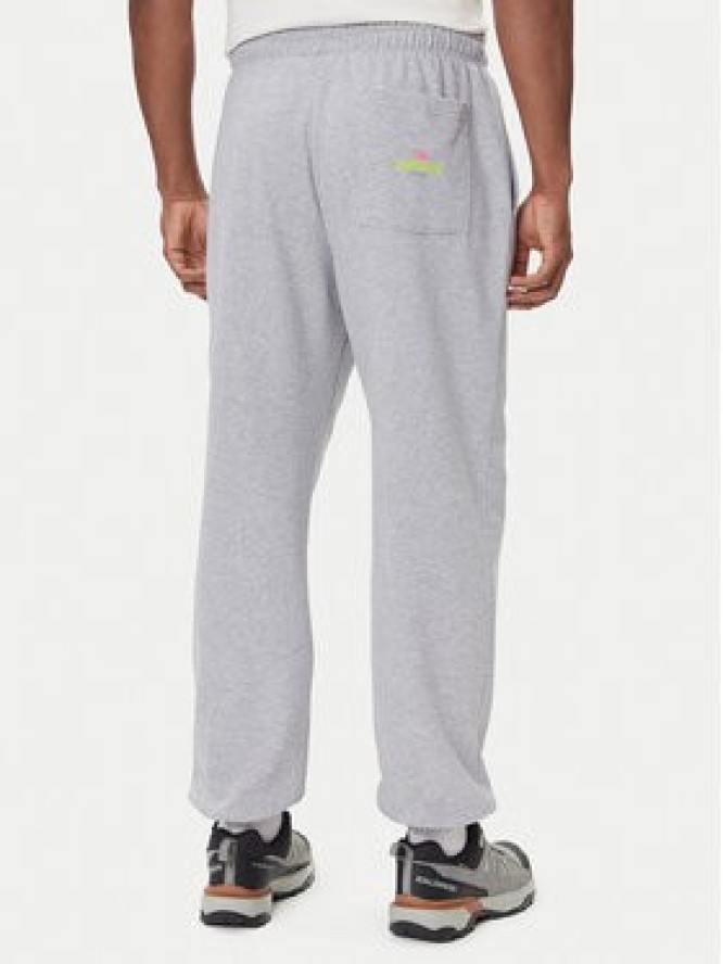 The North Face Spodnie dresowe Expedition Celebration NF0A8E3E Szary Relaxed Fit