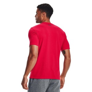 Męska Koszulka Sportstyle Boxed Logo T-shirt