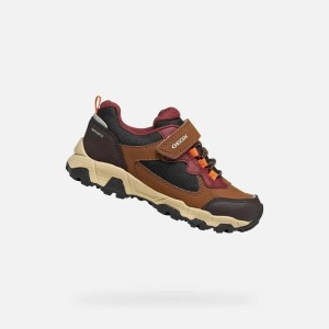 Buty GEOX J MAGNETAR Brązowy