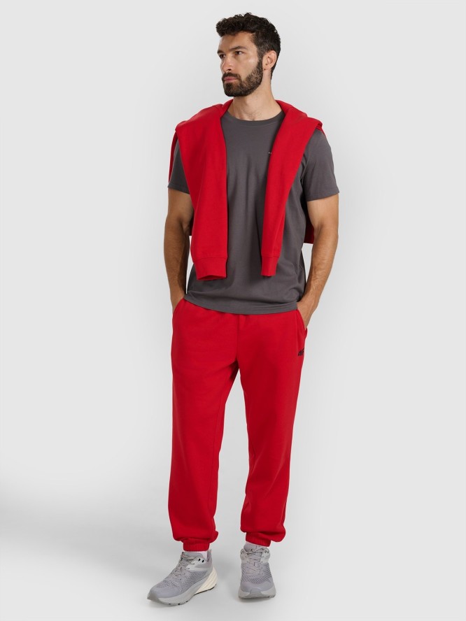 4F T-shirt regular z nadrukiem męski - szary XL