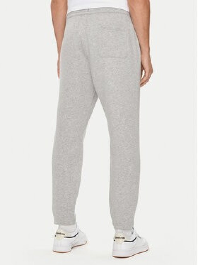 Reebok Spodnie dresowe Activ Coll Dreamblend 100075606 Szary Regular Fit