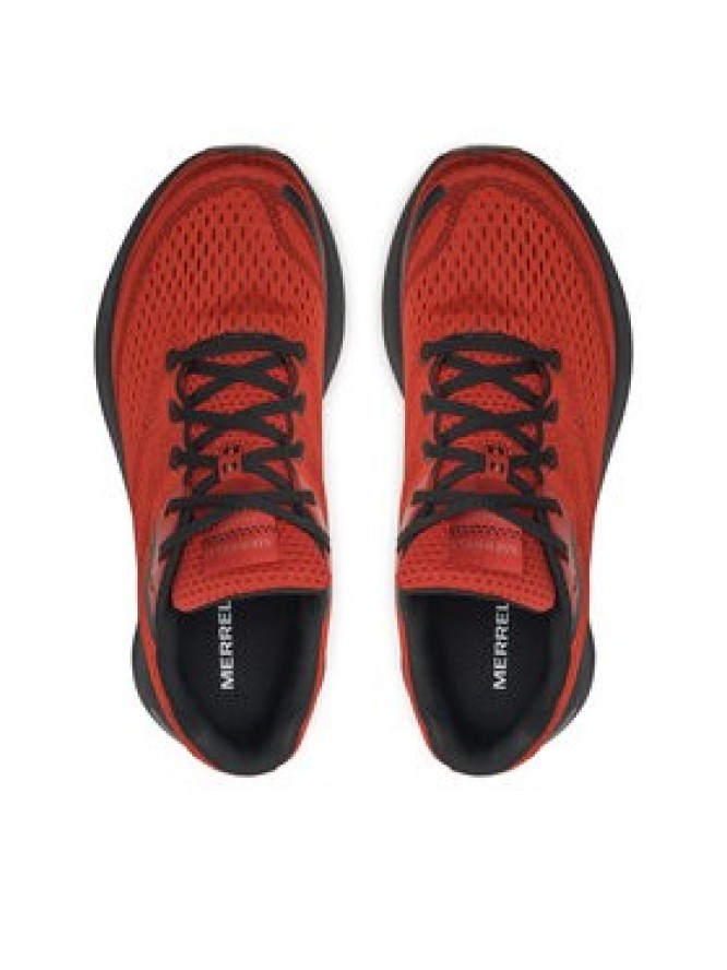 Merrell Buty na siłownię Morphlite Gtx J068279 Czerwony