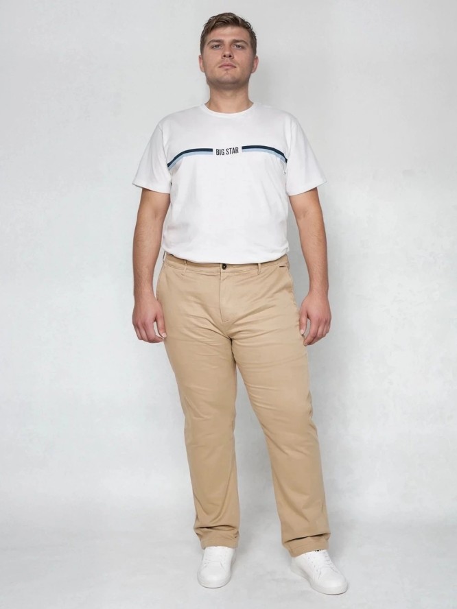 Spodnie męskie chinosy beżowe Trevor 801