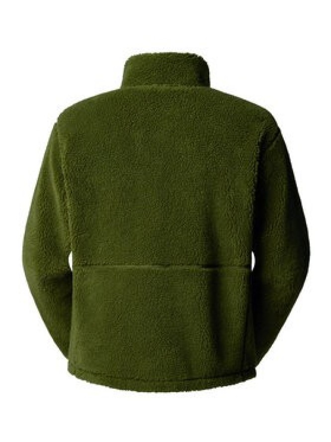 The North Face Polar Extreme Pile NF0A88Y5 Zielony Regular Fit