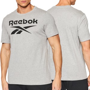 Koszulka z krótkim rękawem męska Reebok Big Logo Tee HD4219