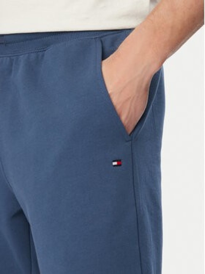 Tommy Hilfiger Szorty sportowe MW0MW37240 Niebieski Regular Fit