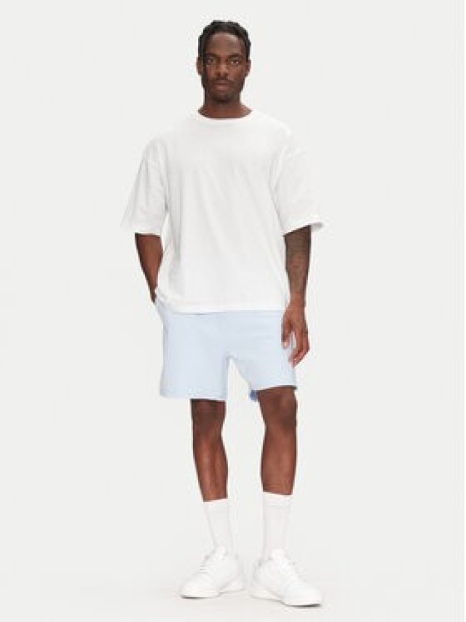 Tommy Jeans Szorty sportowe Entry GraphicDM0DM21369 Błękitny Regular Fit