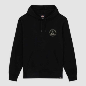 Dickies Bluza Parrotsville Czarna