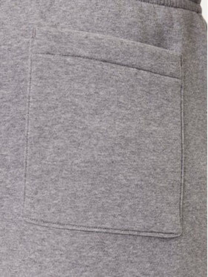 Nike Szorty sportowe FV7285 091 Szary Regular Fit