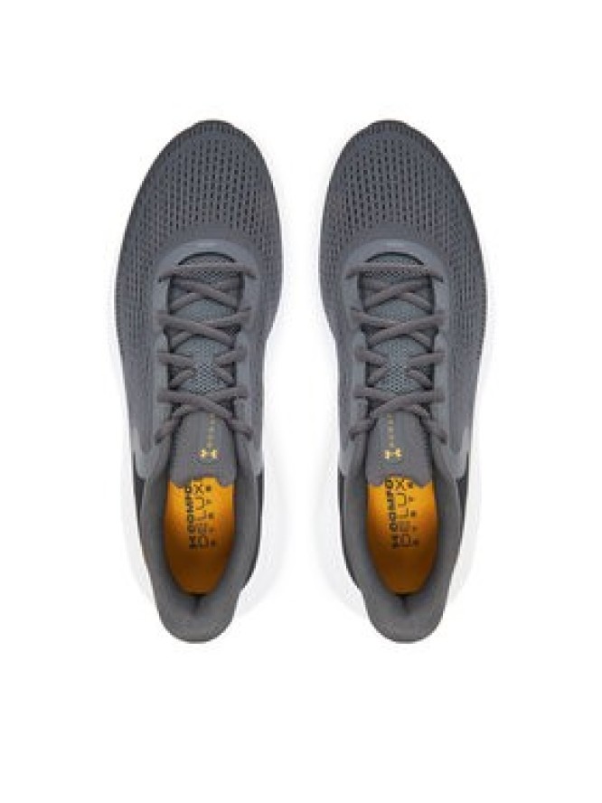 Under Armour Buty do biegania Rogue 5 3028256-025 Szary