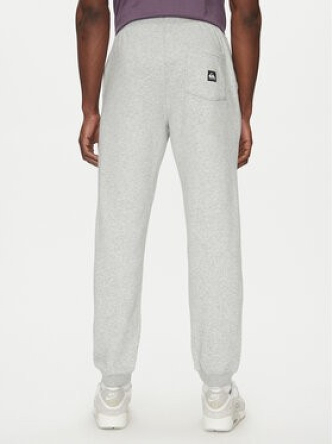 Quiksilver Spodnie dresowe Salt Water EQYFB03391 Szary Regular Fit