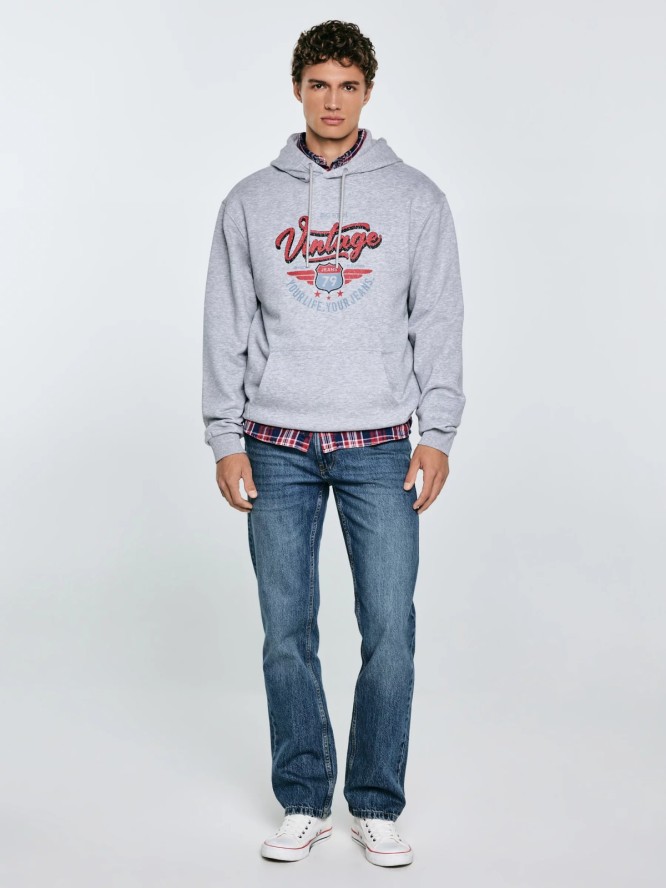 Bluza męska z kapturem z nadrukiem szara Luka 901