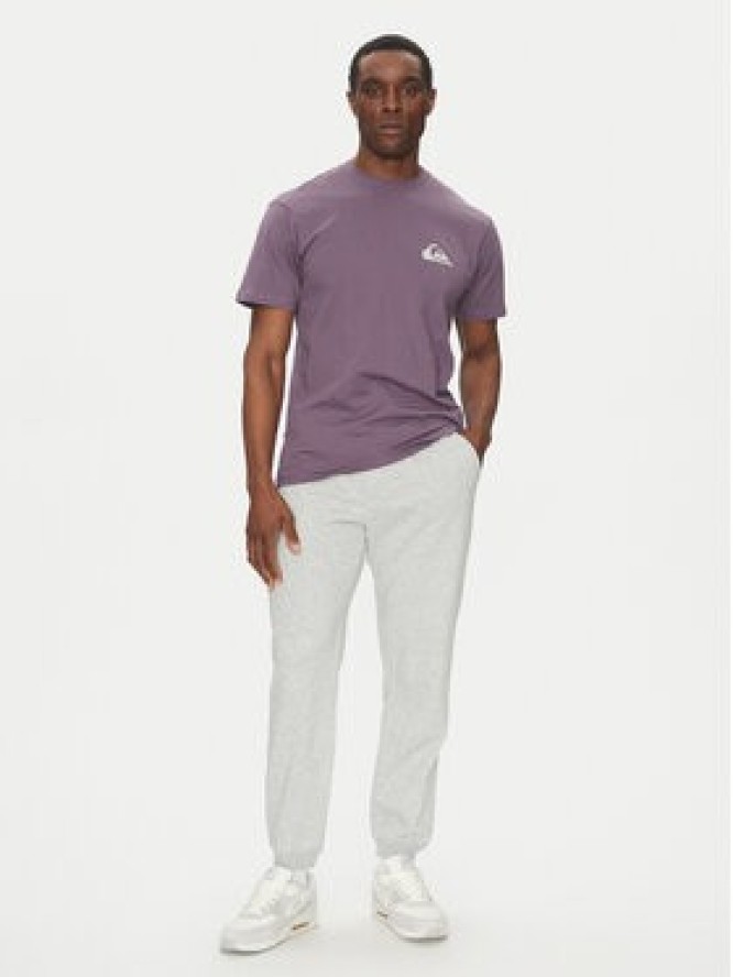 Quiksilver Spodnie dresowe Salt Water EQYFB03391 Szary Regular Fit