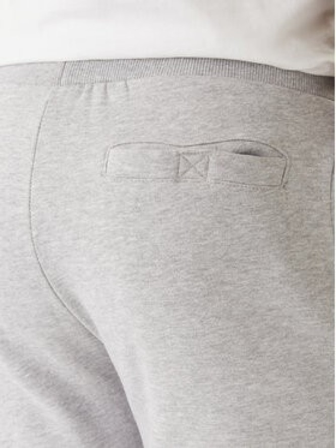 Nautica Spodnie dresowe Nampa N1T04063 Szary Regular Fit