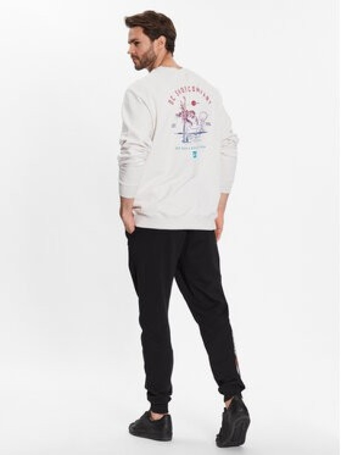 DC Shoes Bluza ADYSF03105 Szary Regular Fit