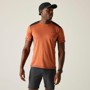 Męska koszulka z krótkim rękawem Virda Active Mesh T-shirt