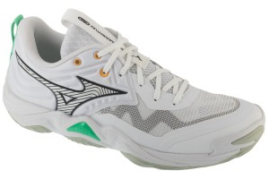 Buty do siatkówki męskie, Wave Momentum Elite