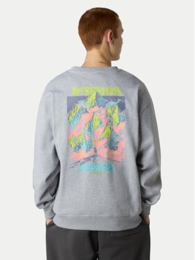 The North Face Bluza Expedition Celebration NF0A8E3G Szary Relaxed Fit