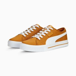 Buty sportowe męskie Puma EVER FS CV