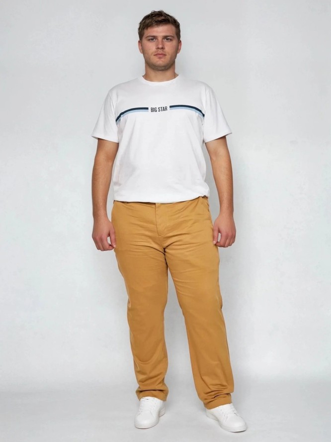 Spodnie męskie chinosy jasnobrązowe Trevor 802