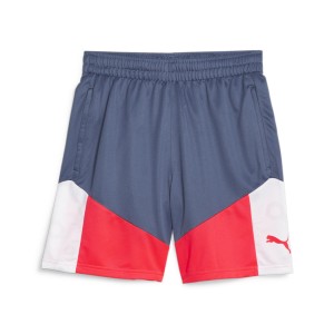 Spodenki męskie Puma Individualcup Shorts