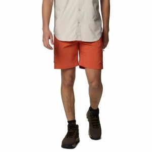 Męskie szorty cargo Columbia Silver Ridge Utility Cargo Short tuscan 34