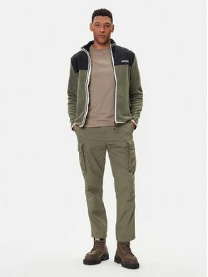 Napapijri Polar T-Dergana NP0A88V1 Zielony Regular Fit