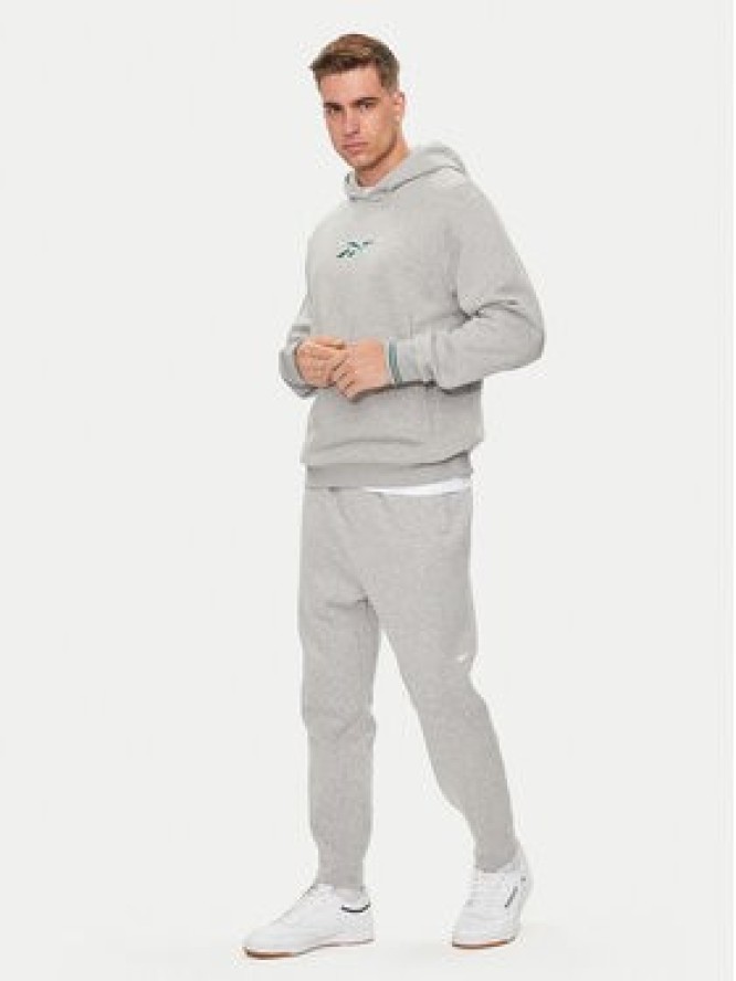 Reebok Spodnie dresowe Activ Coll Dreamblend 100075606 Szary Regular Fit