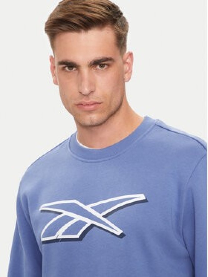 Reebok Bluza Vector Logo 100202411 Niebieski Regular Fit