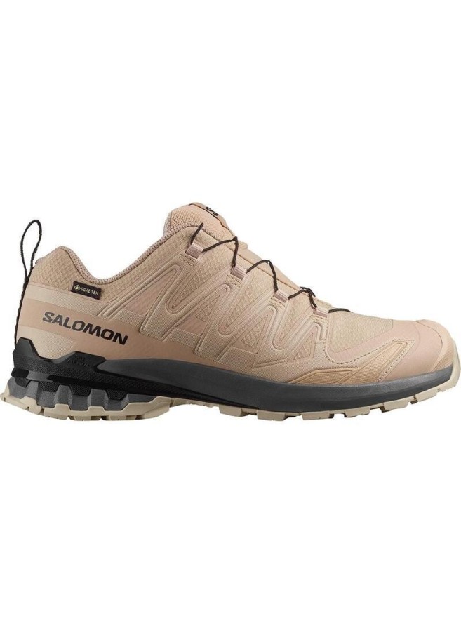 Buty do biegania Salomon XA Pro 3D V9 GTX Beżowe