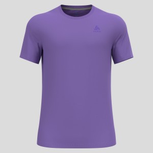 Koszulka z krótkim rękawem trekkingowa męska Odlo T-shirt F-DRY