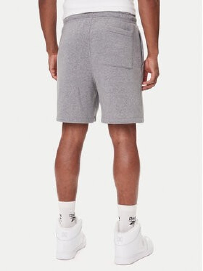 Nike Szorty sportowe FV7285 091 Szary Regular Fit