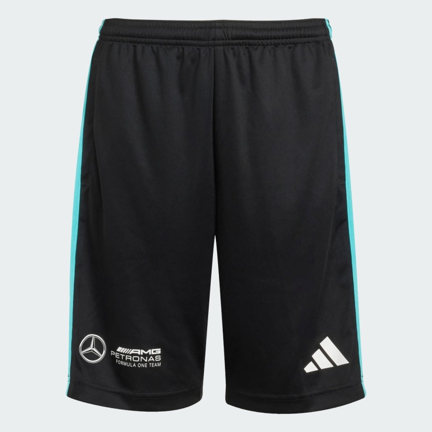 SZORTY MERCEDES - AMG PETRONAS FORMULA ONE TEAM DNA