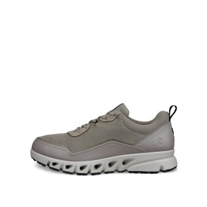 Baskets Ecco Multi-vent GTXS