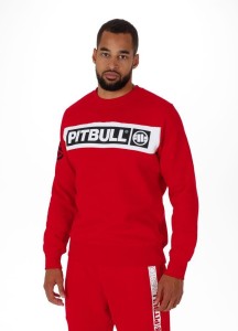 Bluza męska Pitbull Sherwood