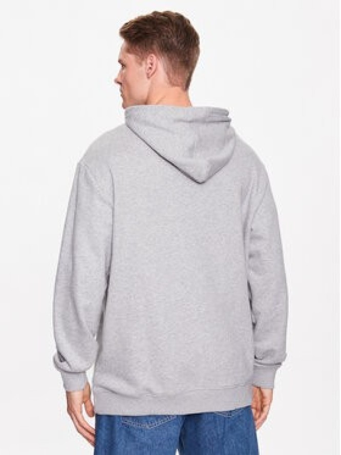 DC Shoes Bluza ADYSF03099 Szary Regular Fit