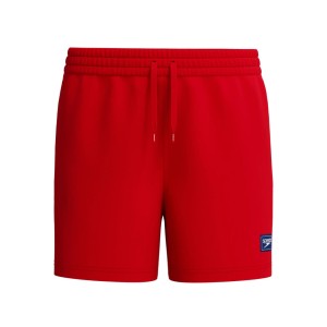 Spodenki męskie Speedo Classic Logo Volley 13''