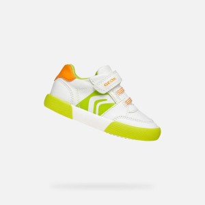 Buty GEOX B GISLI BOY Biały