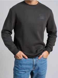 Bluza crewneck z napisem - szary