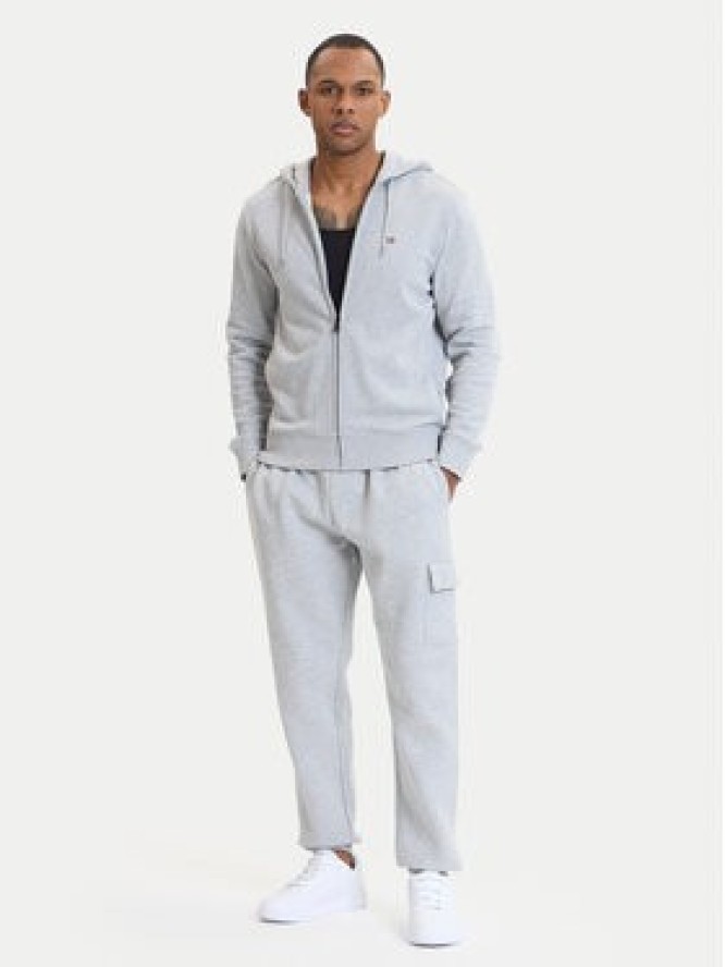 Napapijri Bluza Balis NP0A4HHV Szary Regular Fit