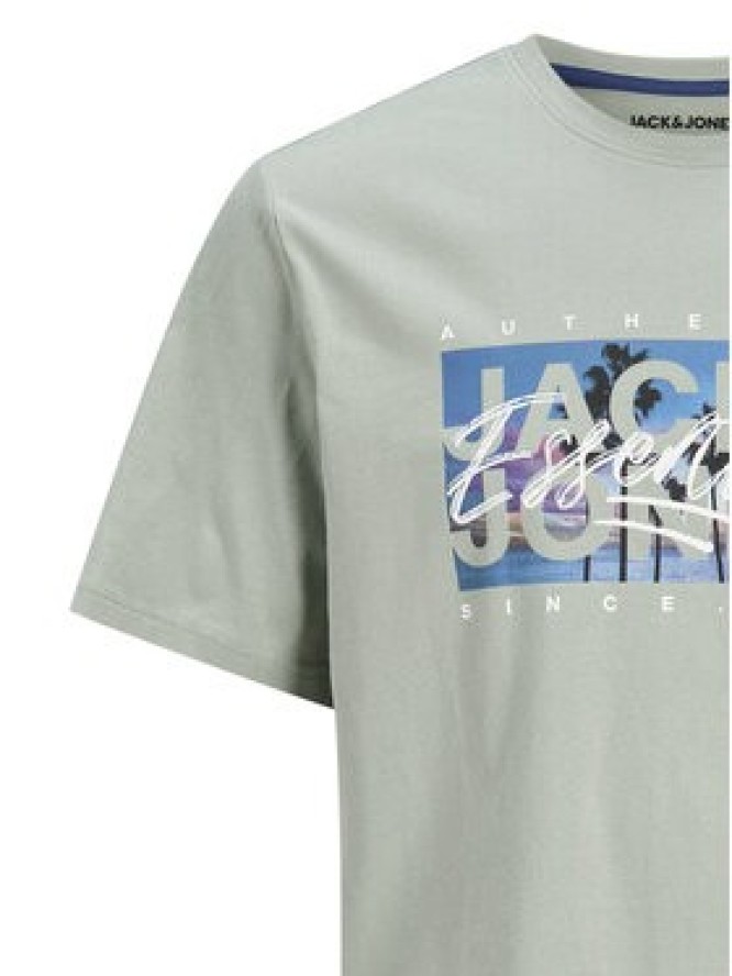 Jack & Jones T-Shirt Colton 12268438 Zielony Standard Fit