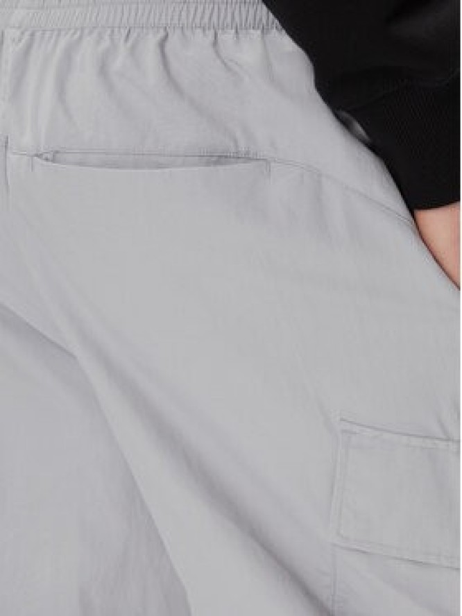 Puma Spodnie dresowe Classics 624260 Szary Relaxed Fit