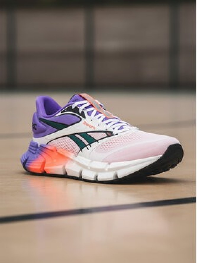 Reebok Buty do biegania EOSB-FLOATZIG 2 100225499 Kolorowy